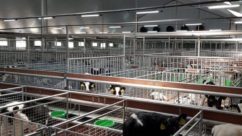 淘宝蓝海选品：揭秘电商新机遇的掘金之路