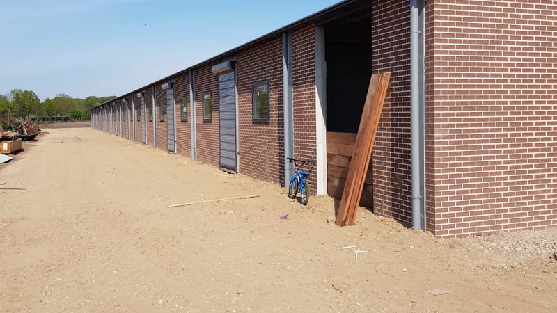 电商网站建设：步骤解析与关键注意事项